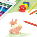 12 Creioane Colorate Cerate Milan 80013