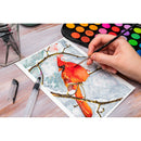 Acuarele 48 Culori Daco Ar480