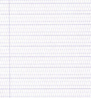 Liniatura Caiet Tip 1