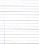 Liniatura caiet Tip 2