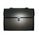 Mapa cu 12 Compartimente 